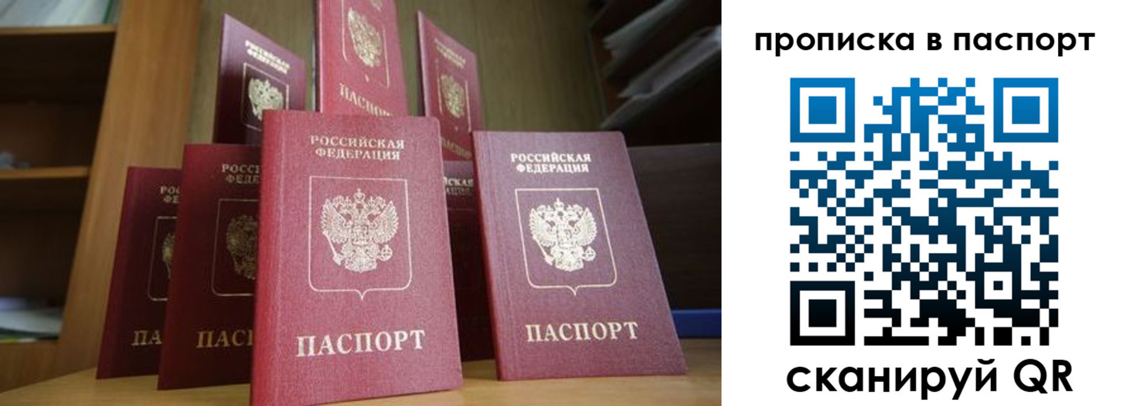 прописка законно в Колпашево